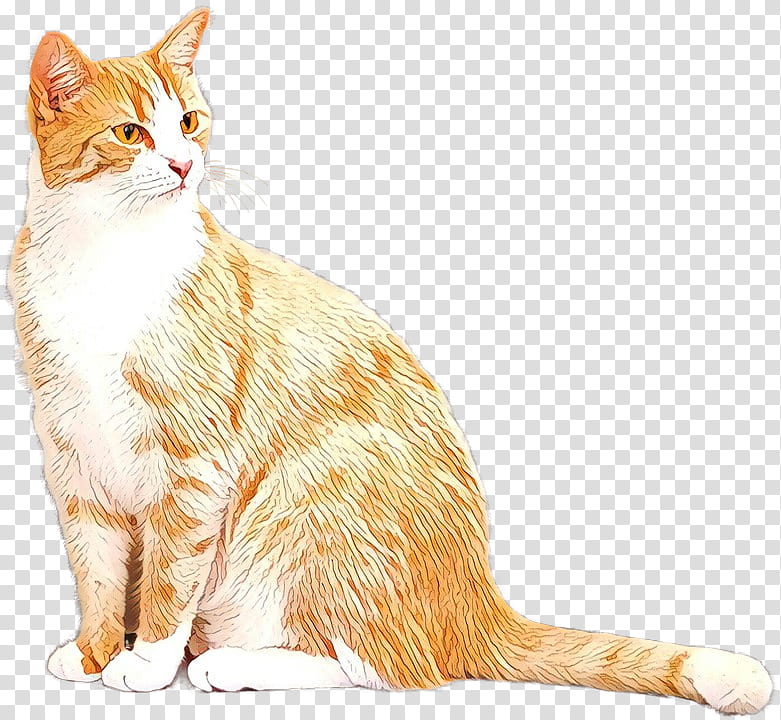 Cat, American Wirehair, European Shorthair, Australian Mist, Manx Cat, German Rex, Aegean Cat, California Spangled transparent background PNG clipart