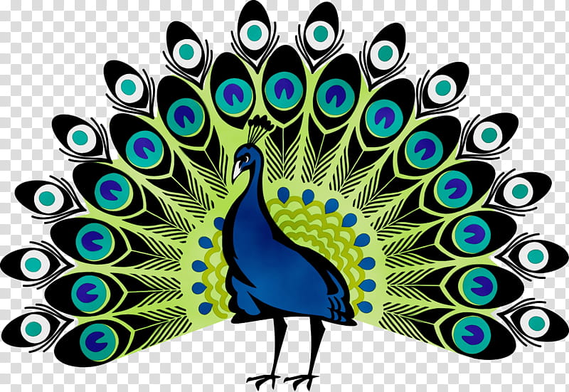 Peacock Drawing, Peafowl, Peacock Dance, Silhouette, Feather, Bird, Electric Blue, Natural Material transparent background PNG clipart