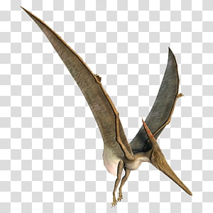 Pterodactyl transparent background PNG cliparts free download