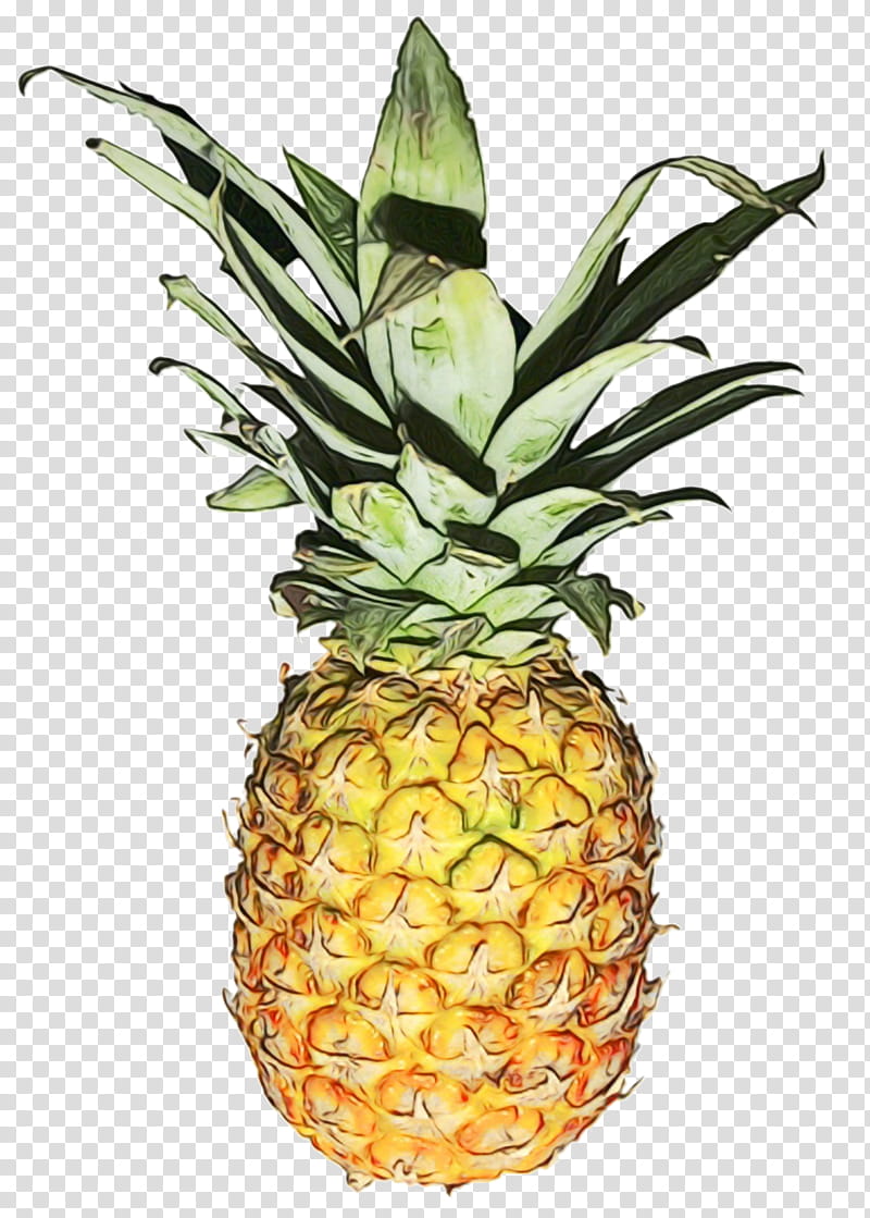 Juice, Pineapple, Jawbox Pineapple Ginger Gin Liqueur, Food, Pineapple Juice, Zanzibari Cuisine, Can, Fruit transparent background PNG clipart