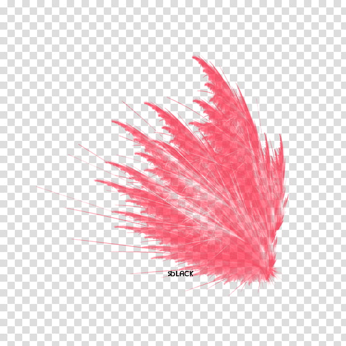 Materials, red feather illustration transparent background PNG clipart