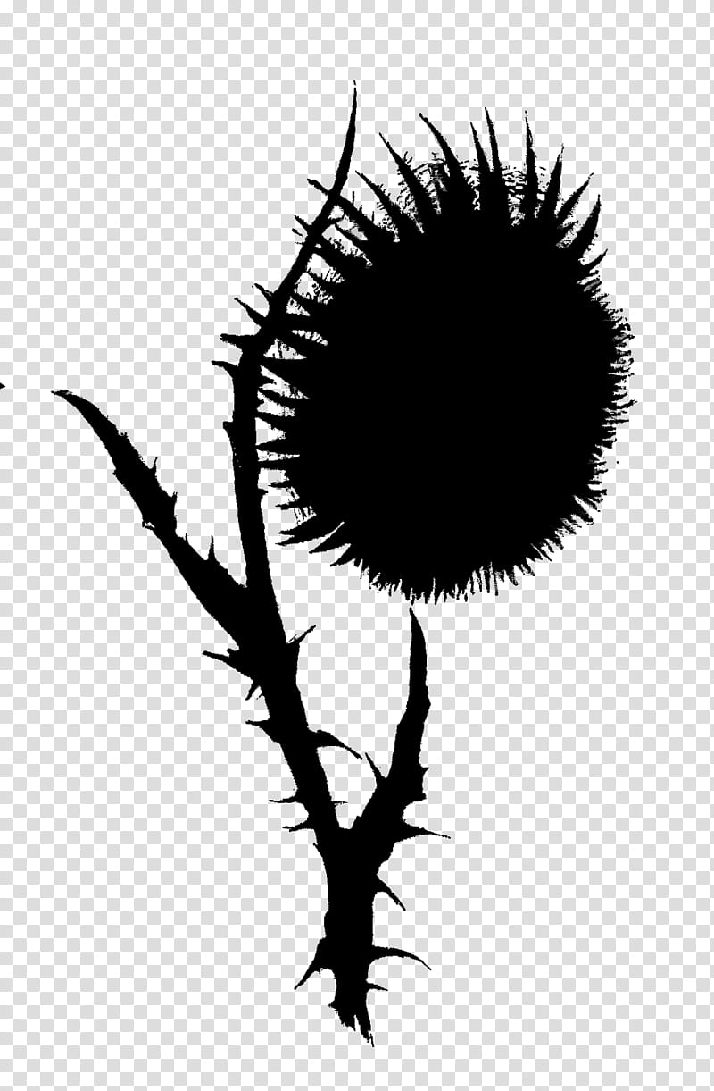 Leaf Silhouette, Flower, Computer, Line, Plants, Thorns Spines And Prickles, Eye, Blackandwhite transparent background PNG clipart