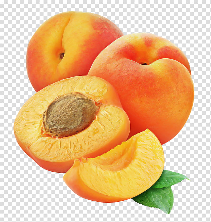 Orange, Fruit, Food, European Plum, Apricot, Peach, Plant, Superfood transparent background PNG clipart