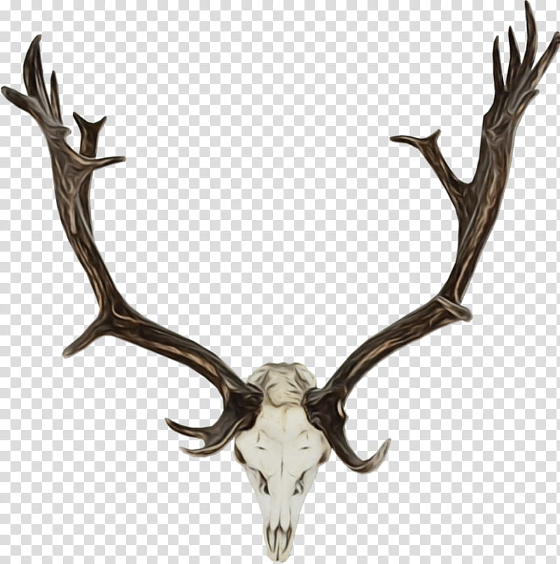 Reindeer, Watercolor, Paint, Wet Ink, Horn, Antler, Barren Ground Caribou, Elk transparent background PNG clipart