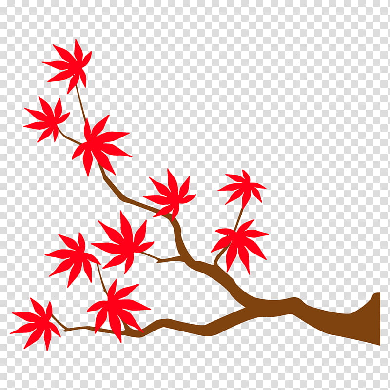 maple branch maple leaves autumn tree, Fall, Leaf, Plant, Flower transparent background PNG clipart