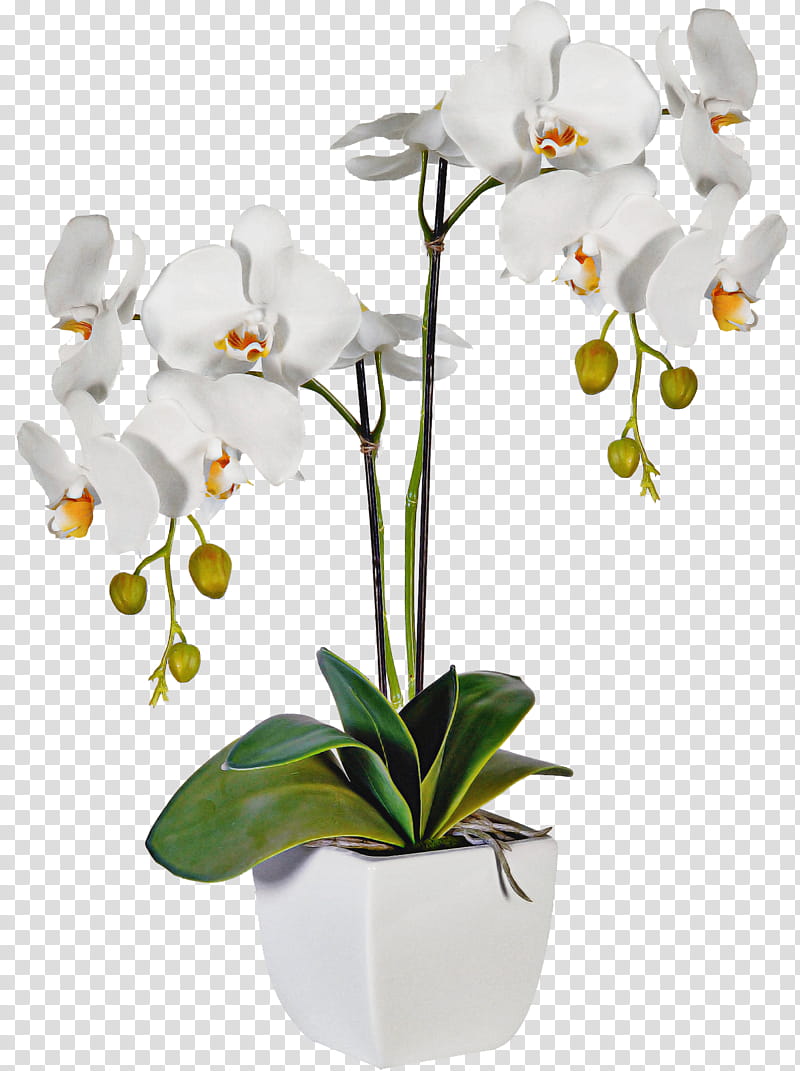 Artificial flower, Moth Orchid, Plant, Flowerpot, Houseplant, Terrestrial Plant, Petal, Cut Flowers transparent background PNG clipart