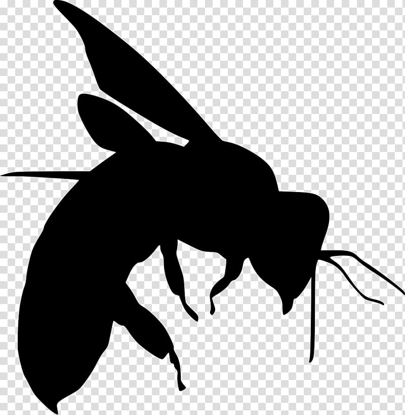 Cartoon Bee, Honey, Skin, Hymenopterans, Contractors Termite And Pest Control, Propolis, Insect, Wing transparent background PNG clipart