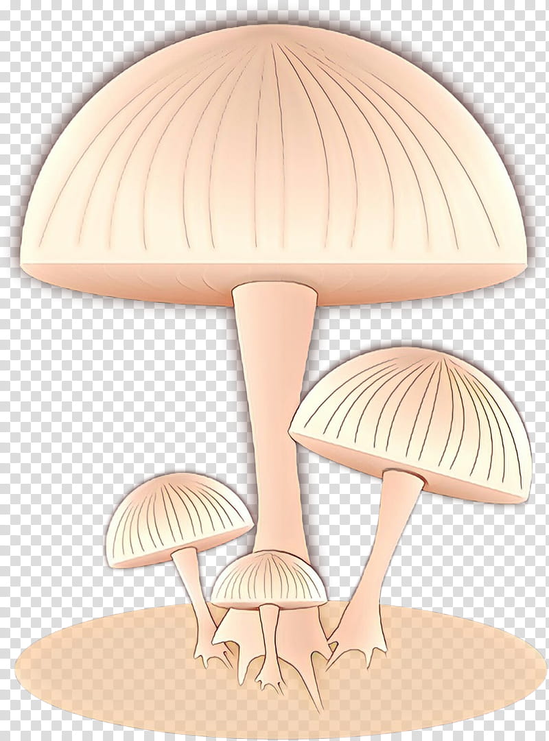 Mushroom, Wood, Cartoon, Orange Sa, Agaricomycetes, Agaricaceae, Fungus, Edible Mushroom transparent background PNG clipart