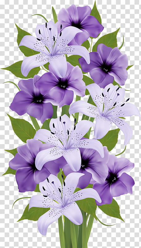 Easter Lily, Flower Bouquet, Decorative Flowers, Cut Flowers, Madonna Lily, Purple, Pink, Pink Flowers transparent background PNG clipart