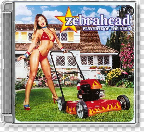  Album Cover Icons, zebrahead . playmate of the year, Zebrahead case transparent background PNG clipart