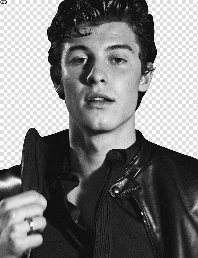 SHAWN MENDES,,SAM () transparent background PNG clipart