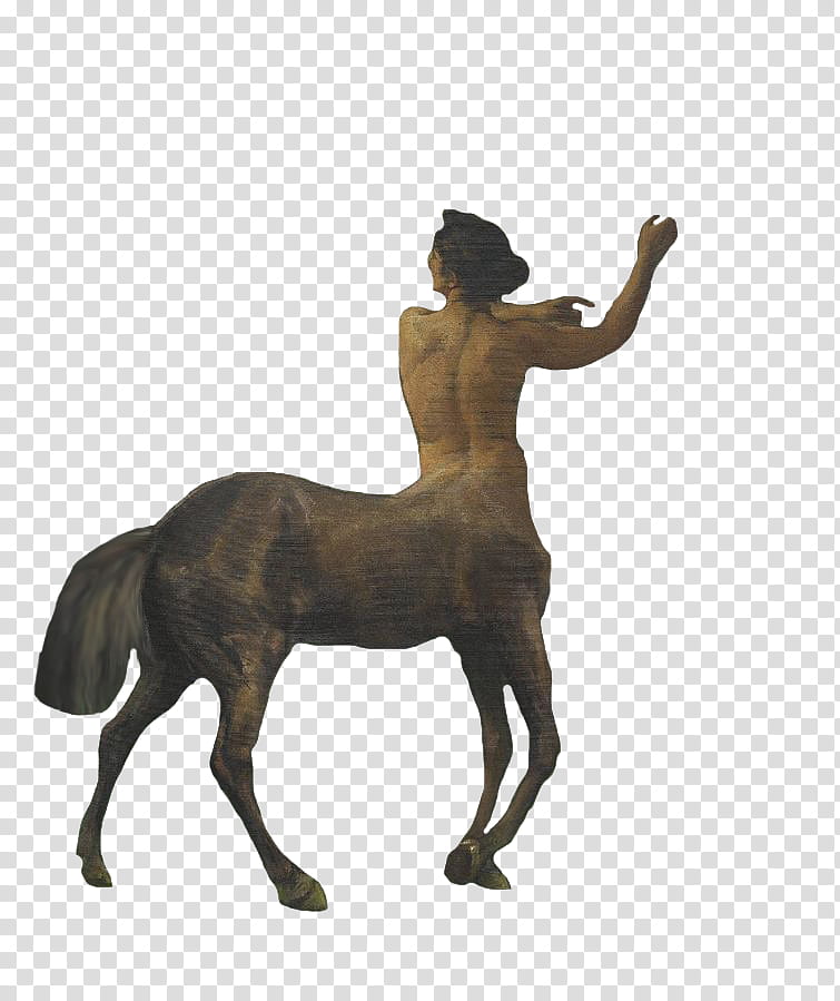 Vintage Centauress, female centaur transparent background PNG clipart