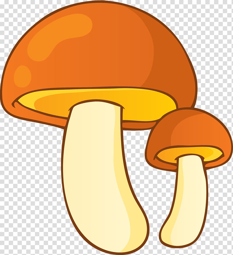 Mushroom, Fungus, Mushroom Hunting, Edible Mushroom, Drawing, Yellow, Orange, Food transparent background PNG clipart
