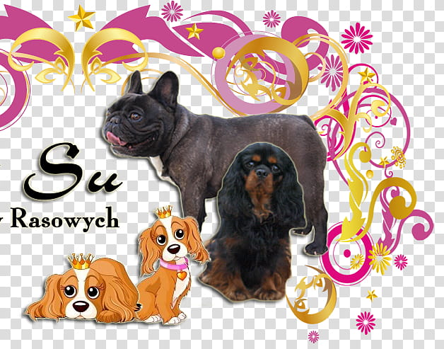 Bulldog, Cavalier King Charles Spaniel, French Bulldog, Puppy, Companion Dog, Bulldog Breeds, Snout, Kumpulan Baka Anjing transparent background PNG clipart