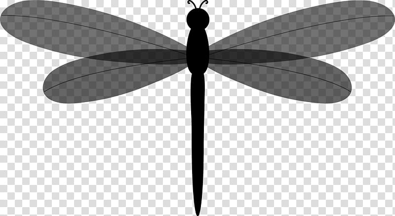 Butterfly, Insect, Line, Symmetry, M Butterfly, Membrane, Dragonflies And Damseflies, Black transparent background PNG clipart