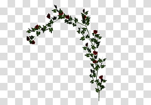 Red Roses Secret Garden Library transparent background PNG clipart thumbnail