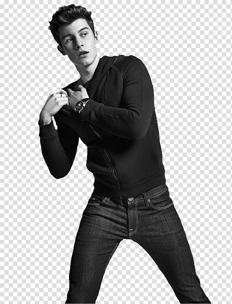 Shawn Mendes transparent background PNG clipart