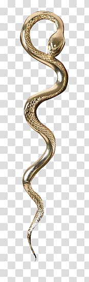 Slytherin, snake transparent background PNG clipart