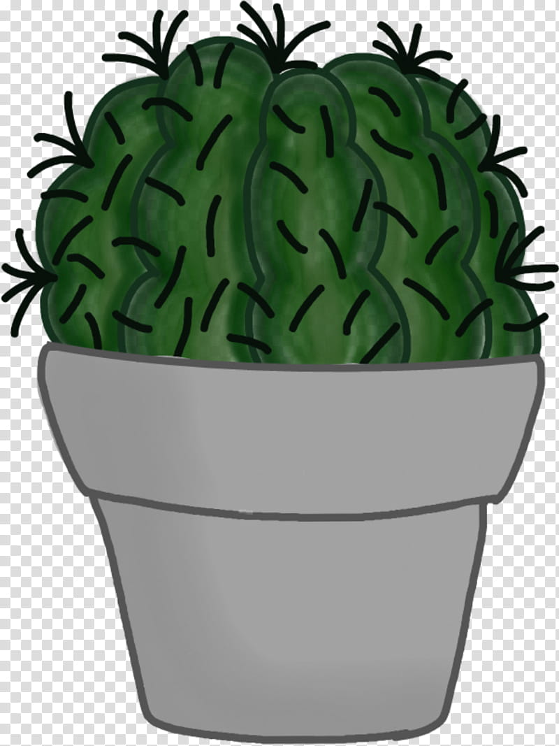 Green Leaf, Cactus, Succulent Plant, Plants, Schlumbergera, Flowerpot, Drawing, Terrarium transparent background PNG clipart