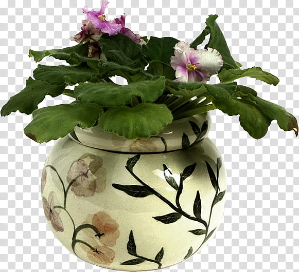 Flowers, Ceramic, Vase, Purple, Flowerpot, Plant, Violet, Houseplant transparent background PNG clipart