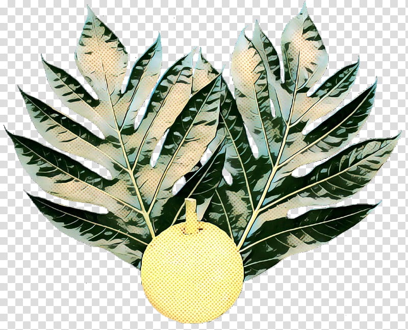 Mango Leaf, Fruit, Guava, Food, Breadfruit, Feijoa, National Tropical Botanical Garden, Mangifera Indica transparent background PNG clipart