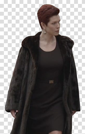 , women's brown fur coat and black dress transparent background PNG clipart