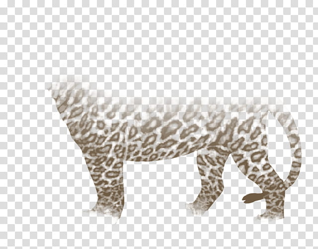 Lion, Leopard, Jaguar, Tiger, Cheetah, Hyena, Cat, Cougar transparent background PNG clipart