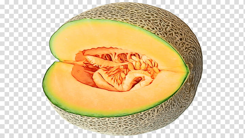Watermelon, Cantaloupe, Honeydew, Galia Melon, Fruit, Hami Melon, Canary Melon, Cucumber transparent background PNG clipart