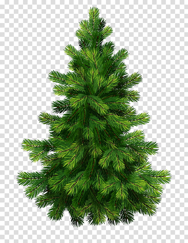 Christmas Black And White, Fir, Christmas Tree, Christmas Day, Pine, Christmas And Holiday Season, Spruce, Artificial Christmas Tree transparent background PNG clipart