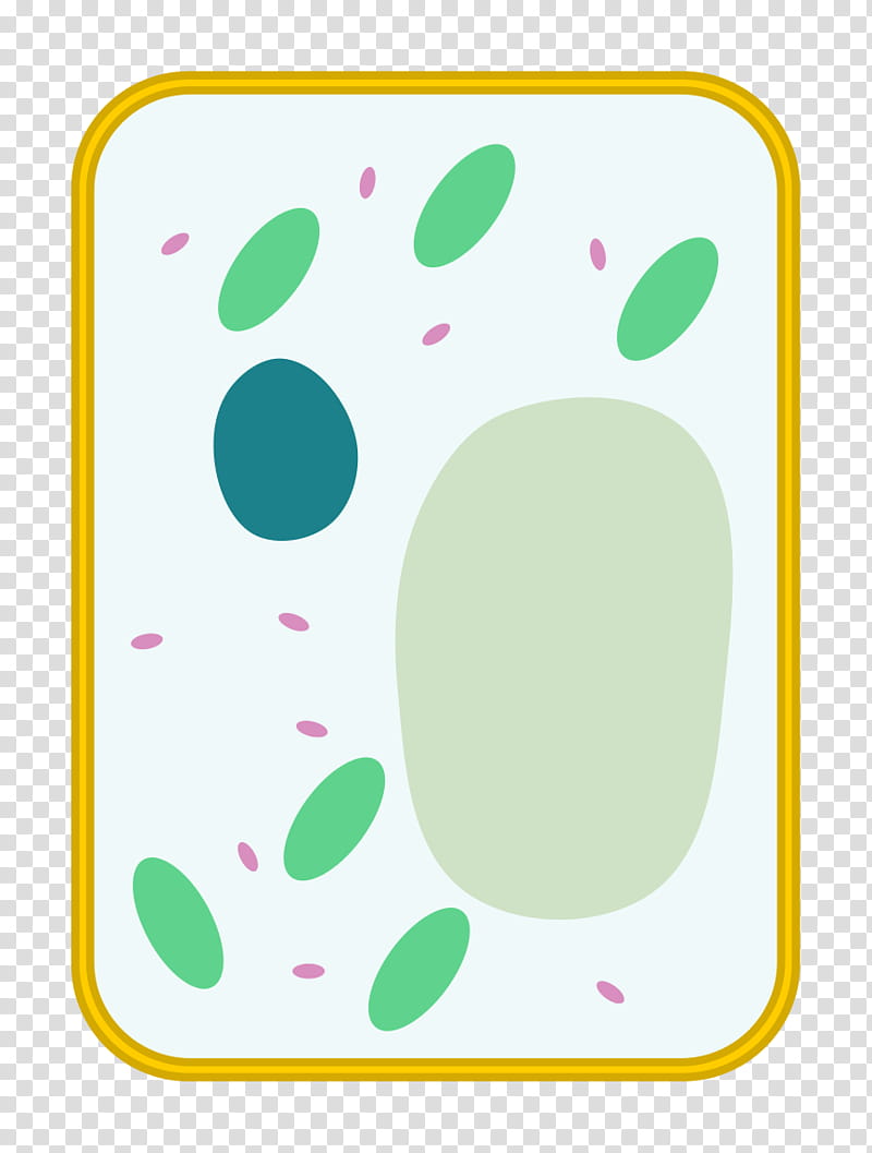 Green Wall, Plant Cell, Diagram, Plants, Cell Nucleus, Cell Membrane, Vacuole, Cytoplasm transparent background PNG clipart