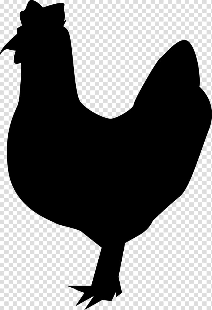 Chicken, Leghorn Chicken, Silhouette, Cochin Chicken, Rooster, Poultry, Bird, Beak transparent background PNG clipart