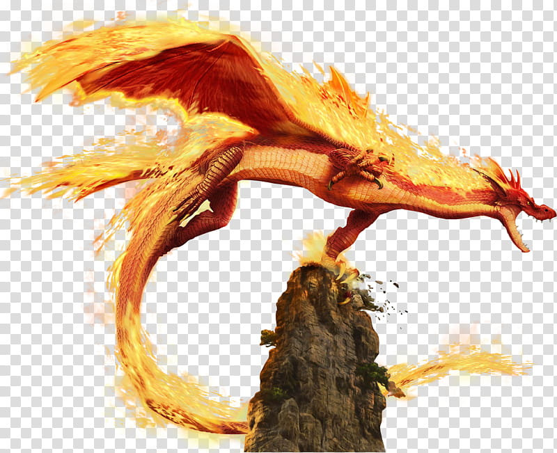 Fire Breathing Dragon, Smaug, European Dragon, Chinese Dragon, Fantasy, Flame, Tree, Heat transparent background PNG clipart