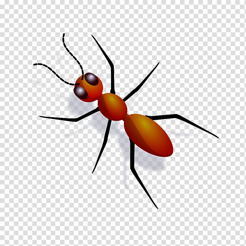 insect pest carpenter ant ant membrane-winged insect, Membranewinged Insect, Fly, Termite transparent background PNG clipart