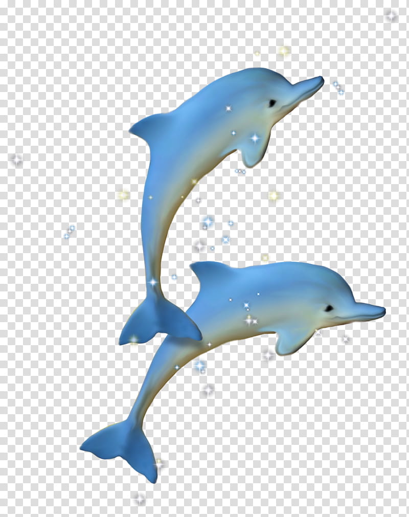 Painting, Dolphin, Drawing, Collage, Blog, Fin, Short Beaked Common Dolphin, Wholphin transparent background PNG clipart