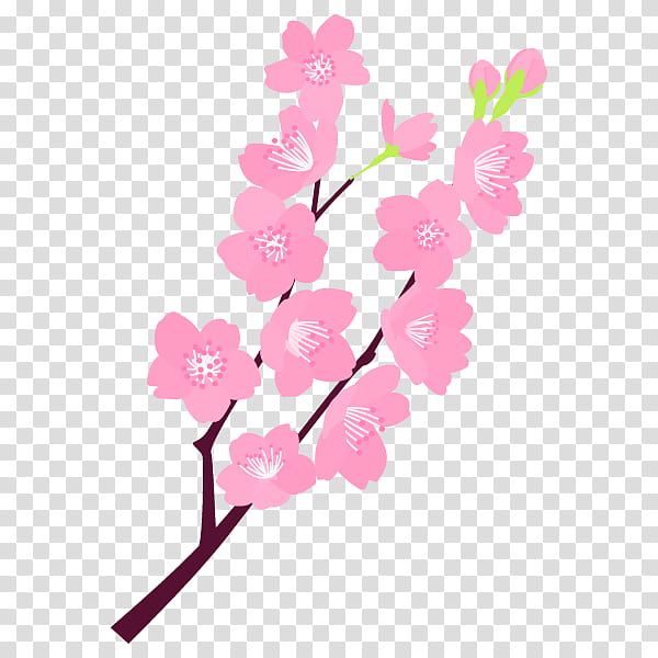 Floral Spring Flowers, Kumamoto, Psychic, Cherry Blossom, Floral Design, Cut Flowers, Plant Stem, Soul transparent background PNG clipart