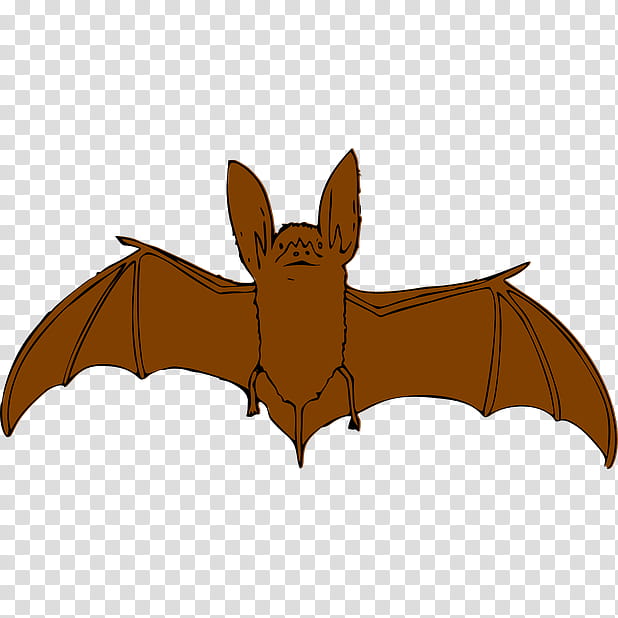 Bat, Silhouette, Little Brown Bat, Line Art, Drawing, Cartoon, Animation, Vampire Bat transparent background PNG clipart