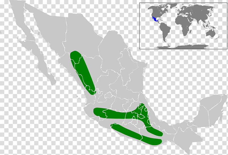 Mexico City, Tenochtitlan, Administrative Divisions Of Mexico, Map, United States Of America, Locator Map, World Map, City Map transparent background PNG clipart