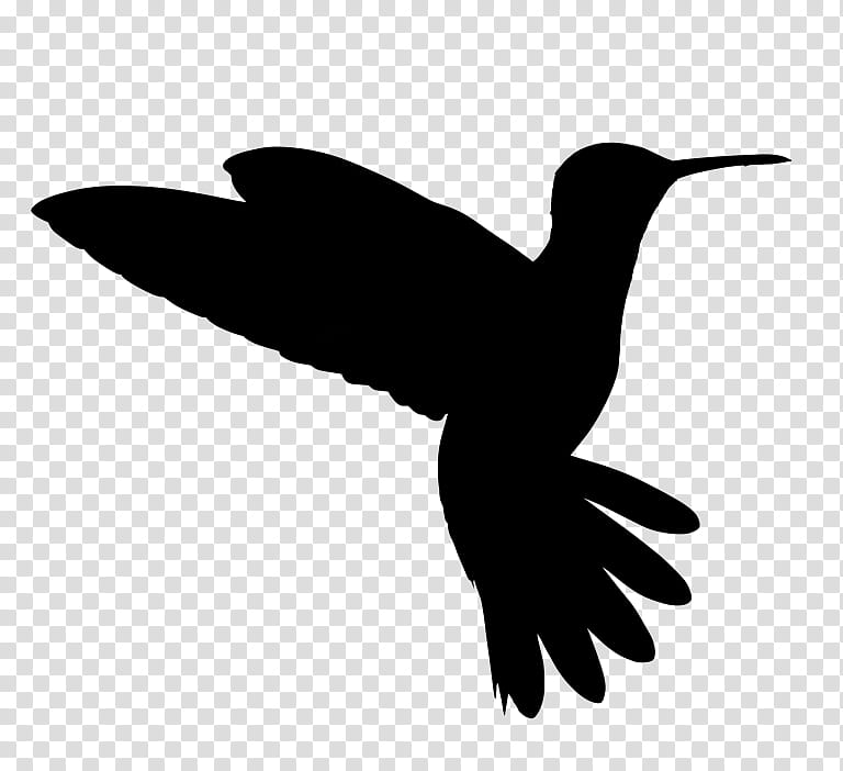 Bird Logo, Hummingbird, Beak, Silhouette, Water Bird, Wing, Rufous Hummingbird, Coraciiformes transparent background PNG clipart