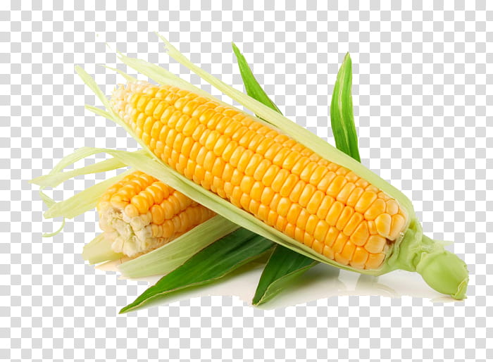 Popcorn, Sweet Corn, Dent Corn, Flint Corn, Flour Corn, , Pod Corn, Cereal transparent background PNG clipart