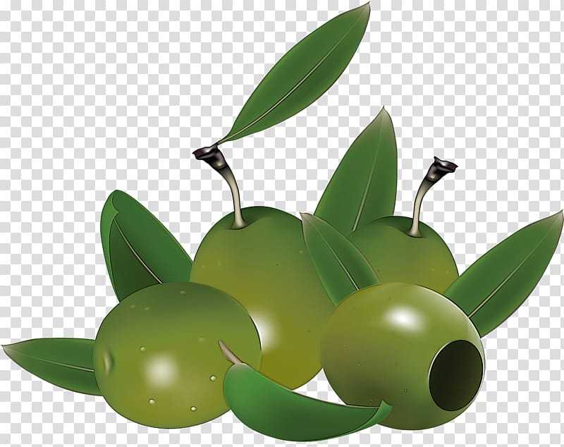 green olive fruit leaf plant, Tree, Food, Flower transparent background PNG clipart