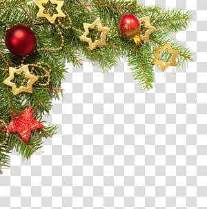 Christmas decoration, Oregon Pine, Tree, Christmas Tree, Christmas Ornament, Colorado Spruce, Fir, Branch transparent background PNG clipart thumbnail