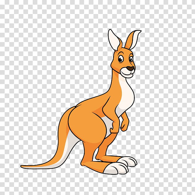 Kangaroo, Drawing, Joey Kangaroo, Animal Figure, Cartoon, Macropodidae, Red Kangaroo, Tail transparent background PNG clipart