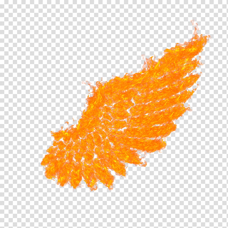 Fire Wings transparent background PNG clipart
