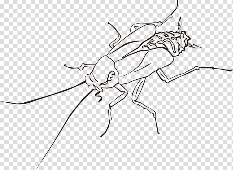 Book Drawing, Cockroach, Insect, Pest, American Cockroach, German Cockroach, Blattidae, Pest Control transparent background PNG clipart