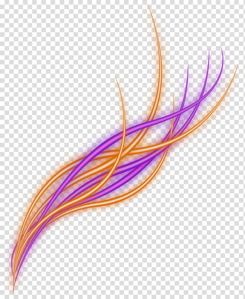 Rize, orange and purple light transparent background PNG clipart