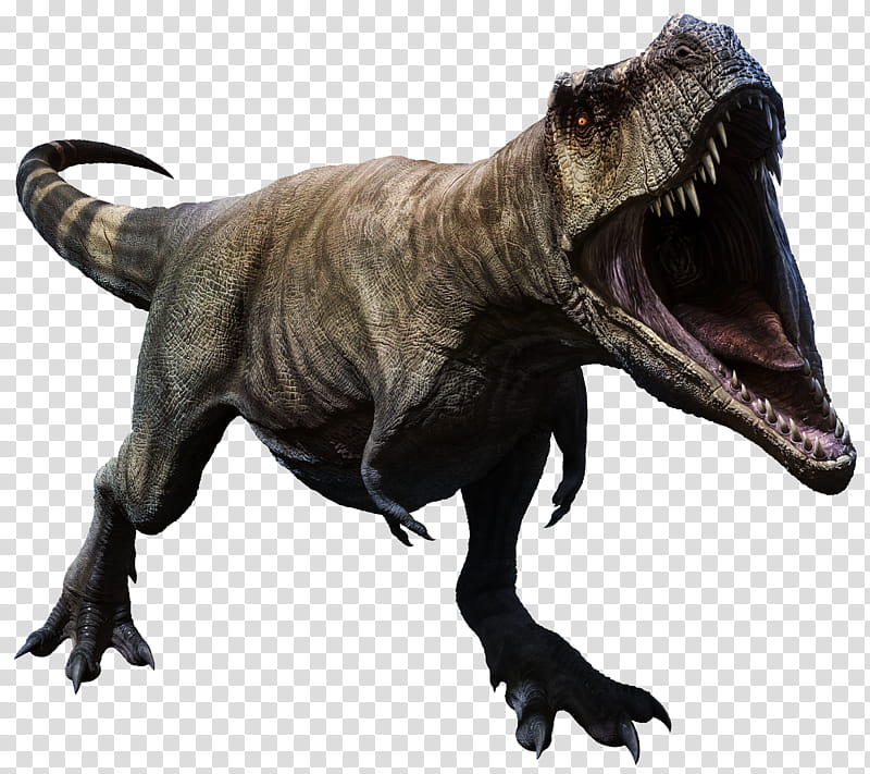 Tyrannosaurus, brown dynosaur transparent background PNG clipart