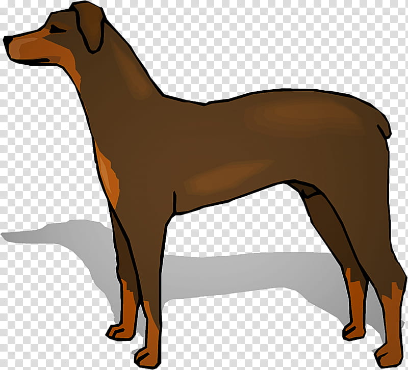 dog dog breed dobermann german pinscher, Manchester Terrier transparent background PNG clipart
