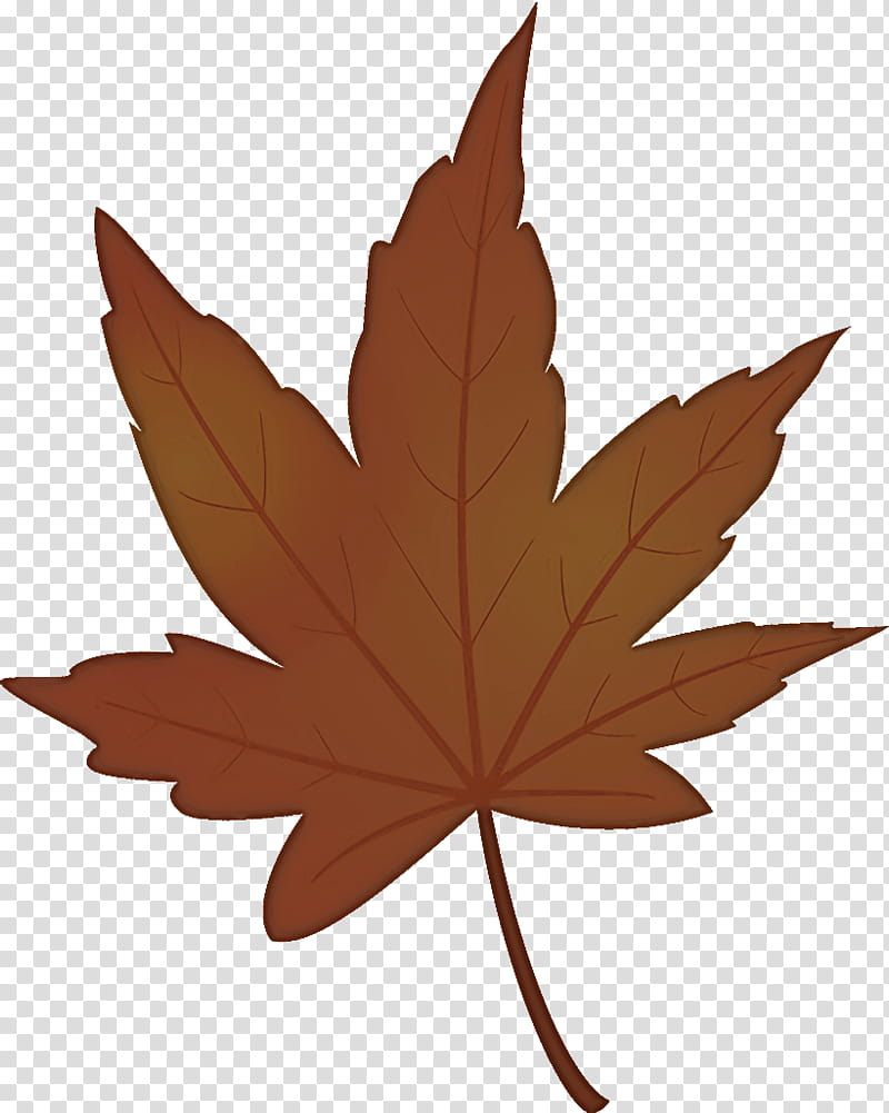 maple leaf autumn leaf yellow leaf, Tree, Plant, Woody Plant, Black Maple, Brown, Plane, Sweet Gum transparent background PNG clipart