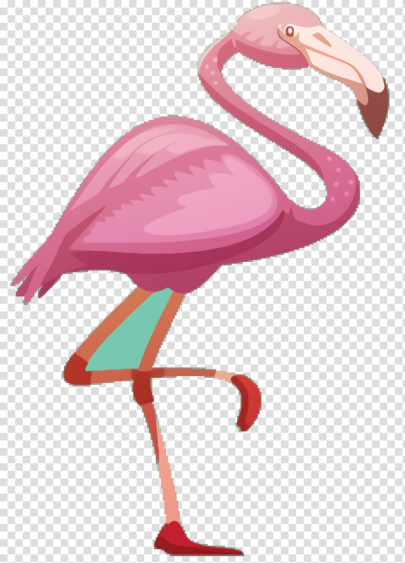 Pink Flamingo, Pink M, Beak, Neck, Bird, Greater Flamingo, Water Bird transparent background PNG clipart