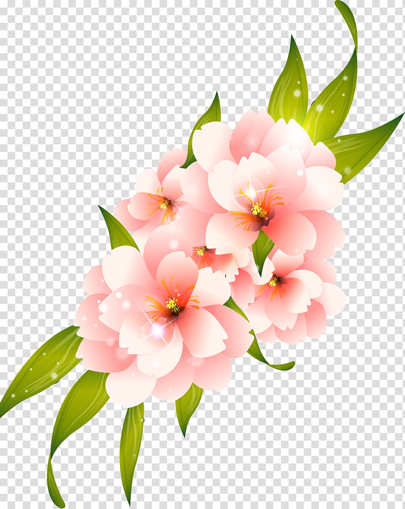 Flower Vector transparent background PNG cliparts free download | HiClipart